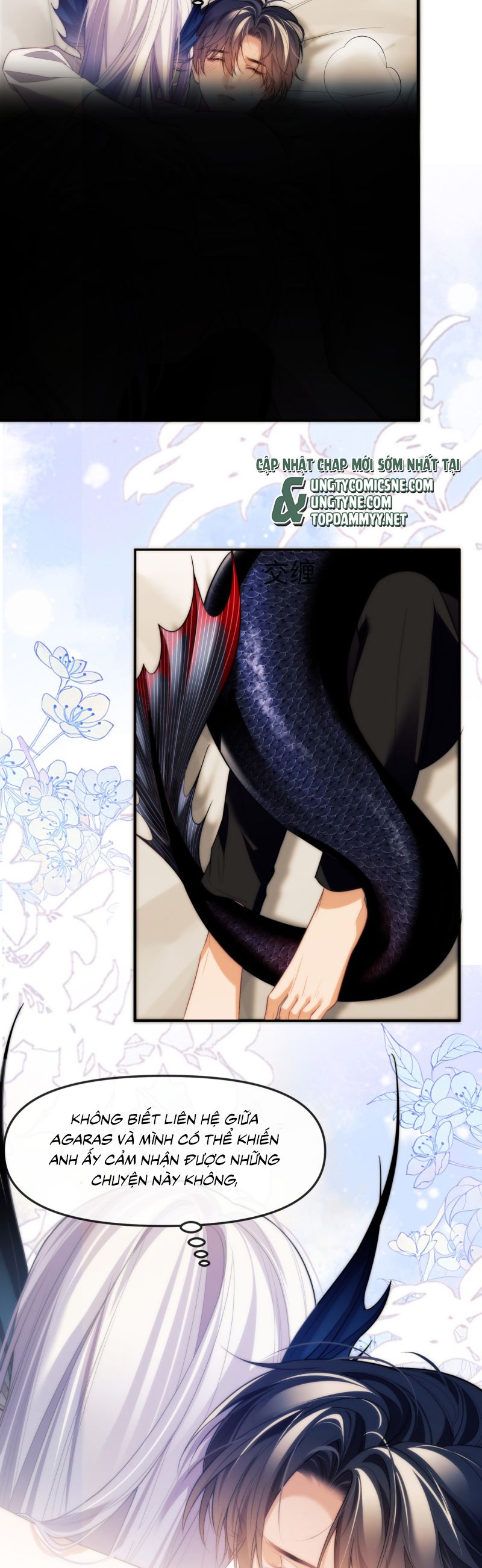 Desharow Nhân Ngư Chap 81 - Trang 4