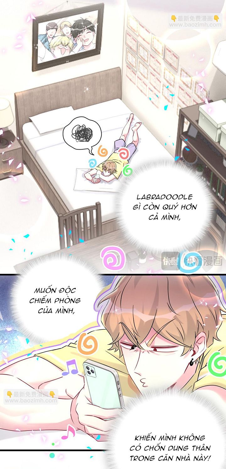 Đại Bảo Bối Từ Đâu Tới Chap 299 - Trang 2