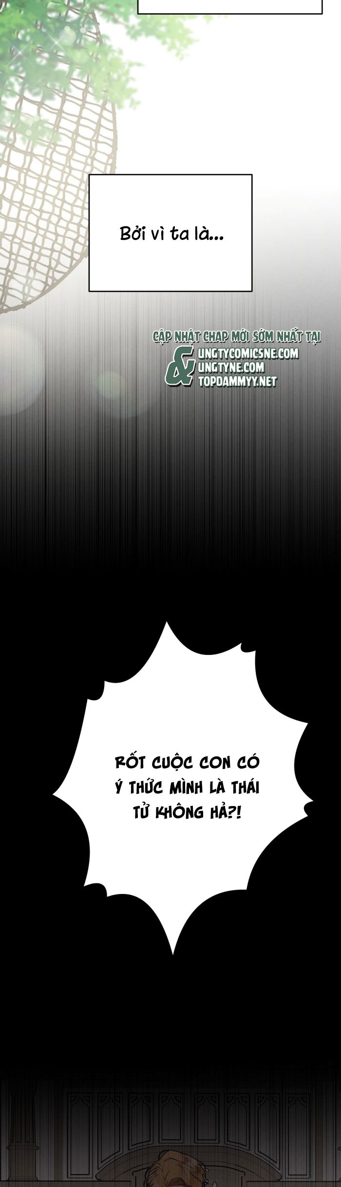 Hôn Nhân Gia Tộc Chap 23 - Next Chap 24