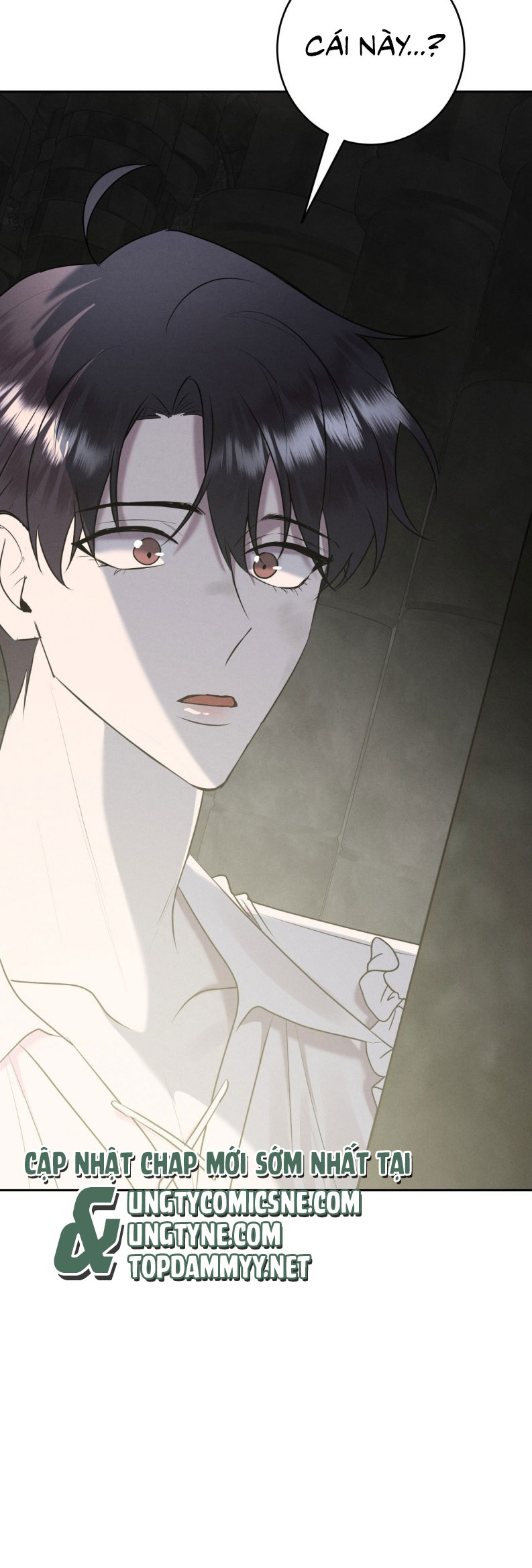 Hôn Nhân Gia Tộc Chap 24 - Next Chap 25