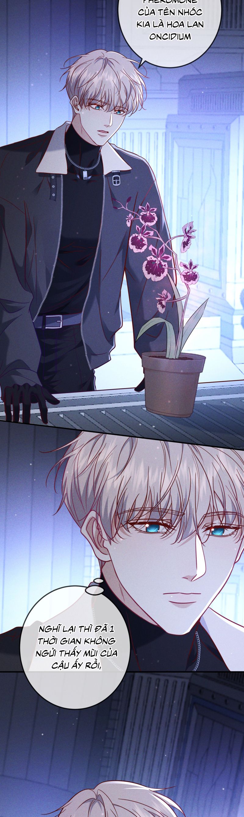 Đêm Tình Yêu Và Sát Ý Chapter 55 - Trang 4