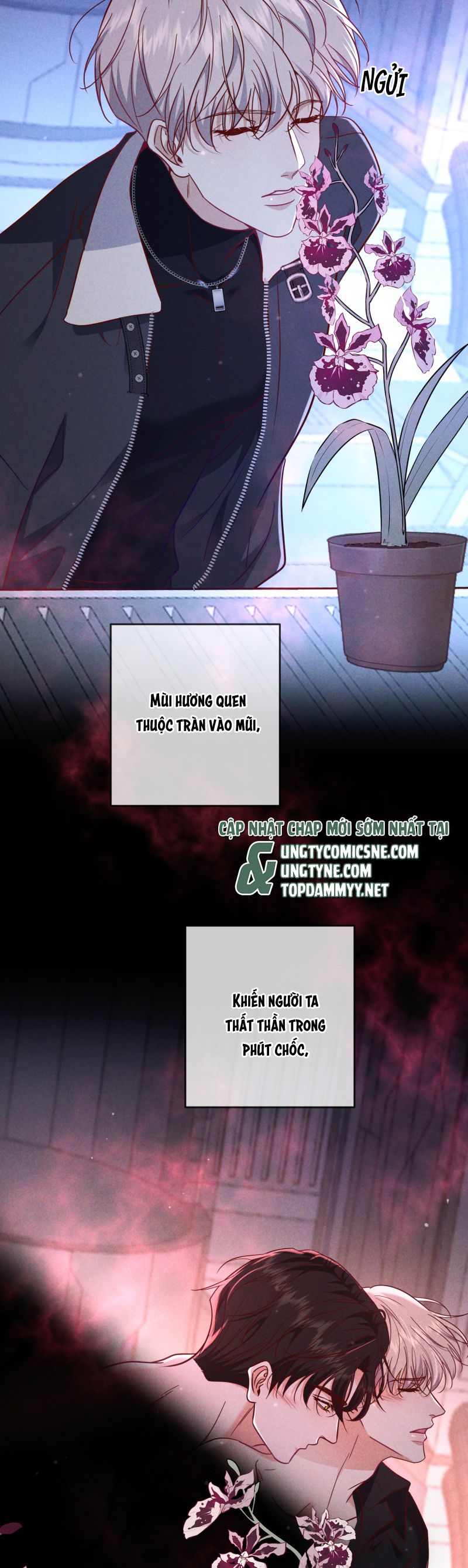 Đêm Tình Yêu Và Sát Ý Chapter 55 - Trang 4