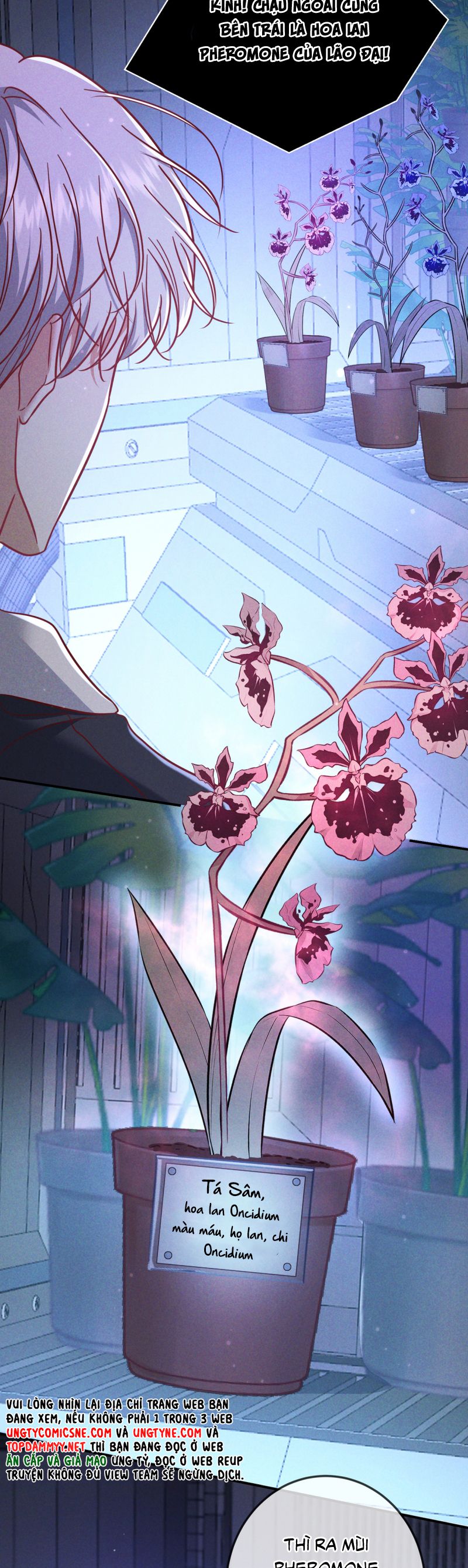 Đêm Tình Yêu Và Sát Ý Chapter 55 - Trang 4