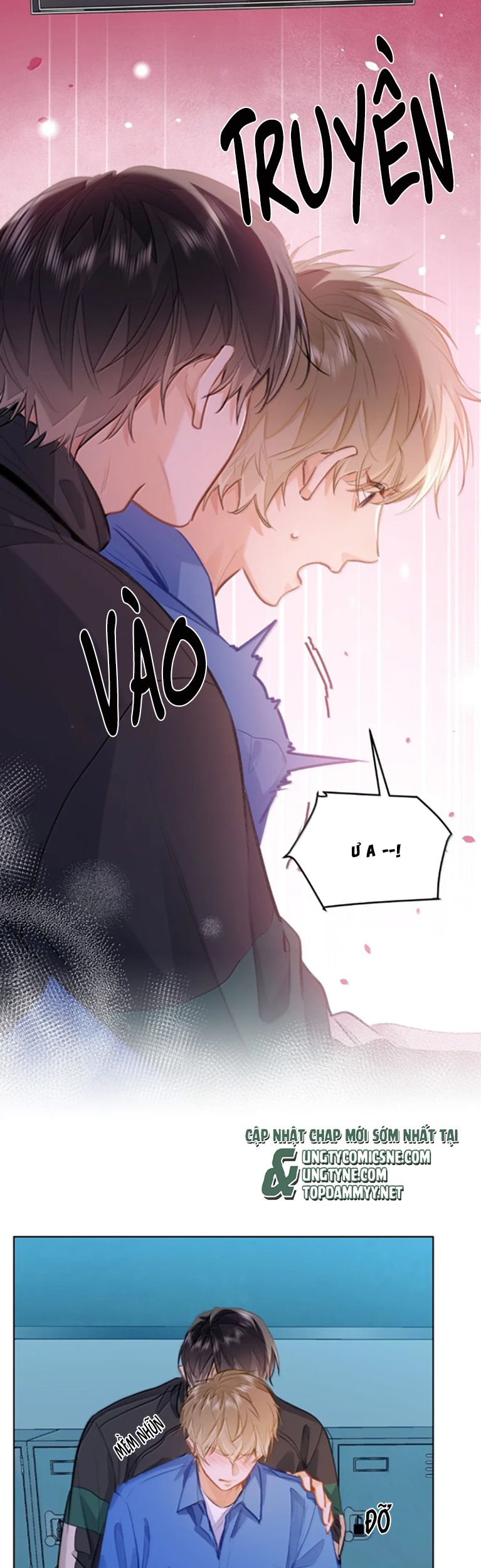 Tôi Thích Tin Tức Tố Của Cậu Chap 66 - Trang 2