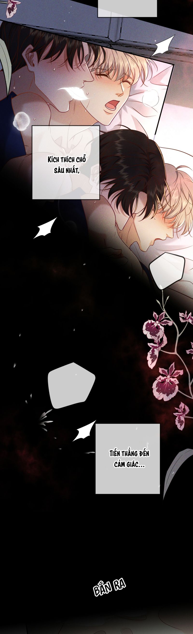 Đêm Tình Yêu Và Sát Ý Chap 56 - Trang 4