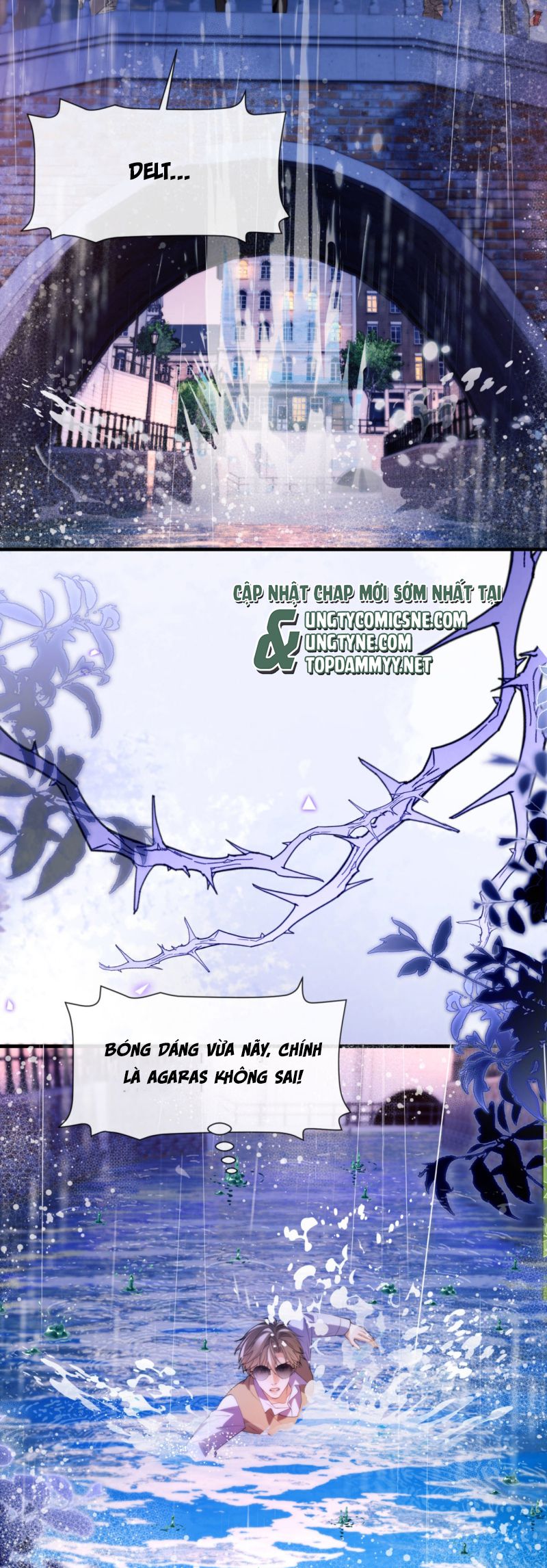Desharow Nhân Ngư Chap 85 - Trang 4