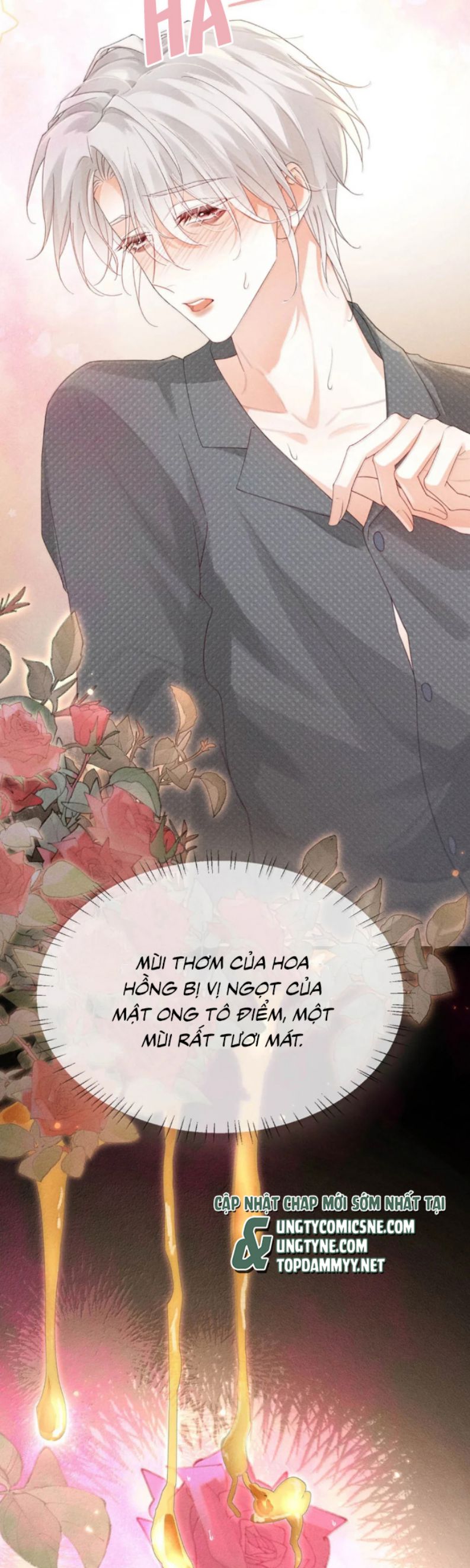 Nồng Đậm Tin Tức Tố Chap 23 - Trang 4