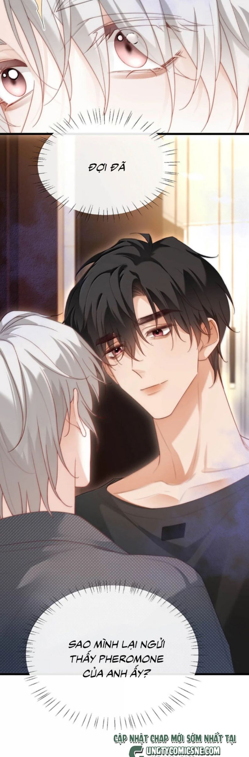 Nồng Đậm Tin Tức Tố Chap 23 - Trang 4