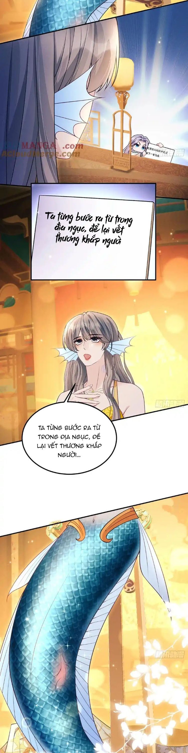 Tôi Hoài Nghi Ảnh Đế Đang Theo Đuổi Tôi Chap 183 - Trang 4