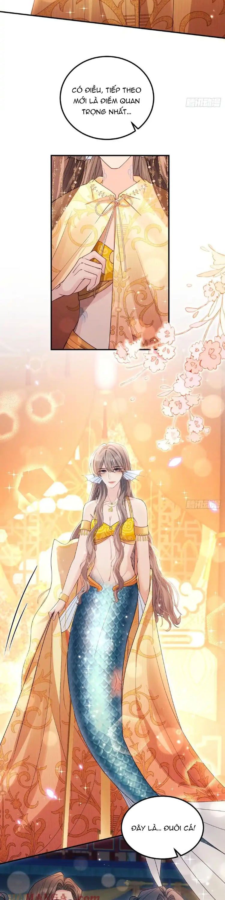 Tôi Hoài Nghi Ảnh Đế Đang Theo Đuổi Tôi Chap 183 - Trang 4