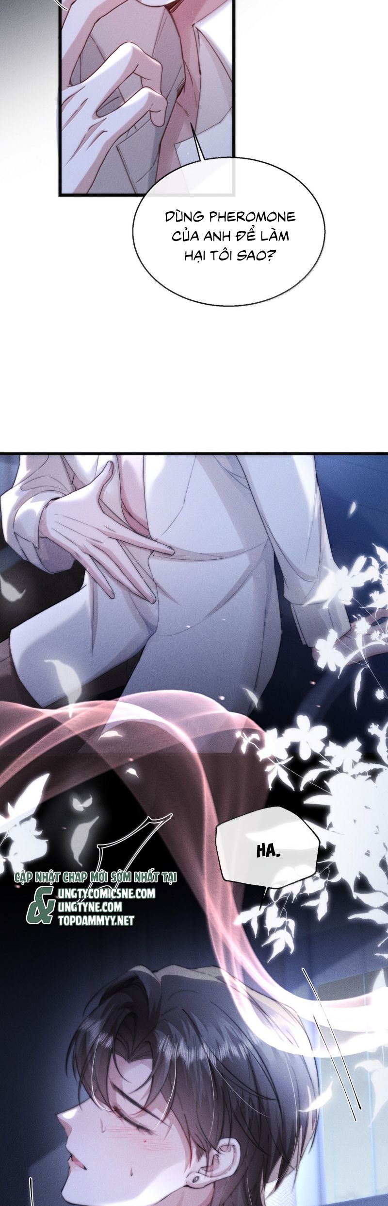 Kế Hoạch Tự Dưỡng Cuồng Khuyển Chap 61 - Next Chap 62