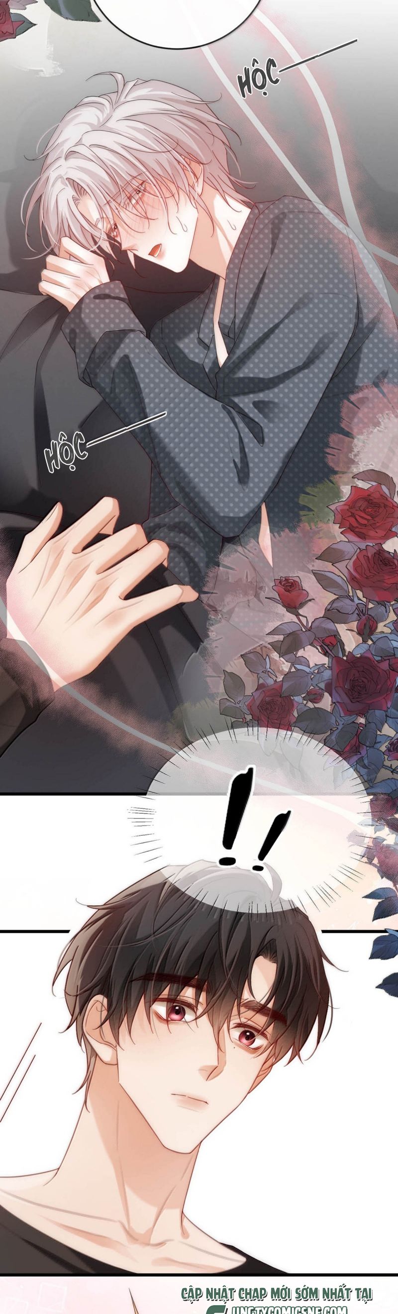 Nồng Đậm Tin Tức Tố Chapter 24 - Trang 4