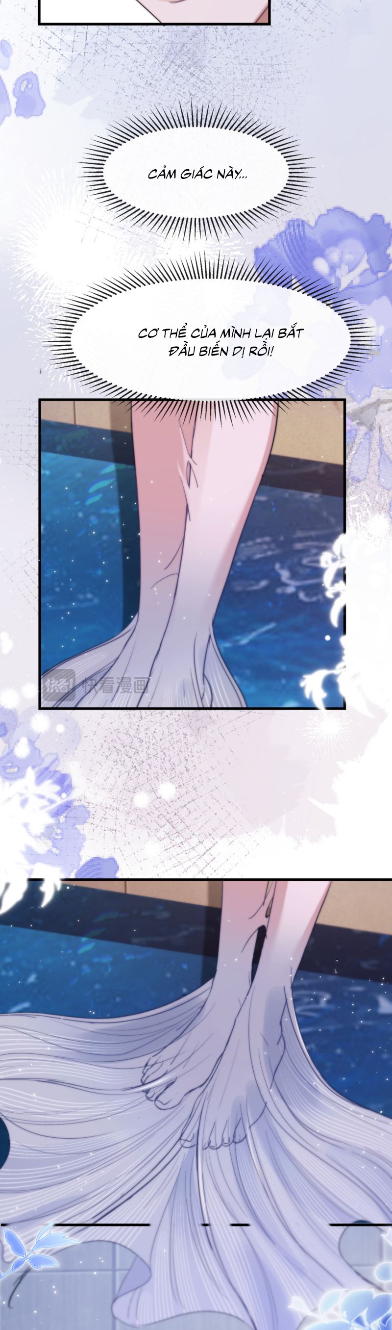 Desharow Nhân Ngư Chap 91 - Trang 4