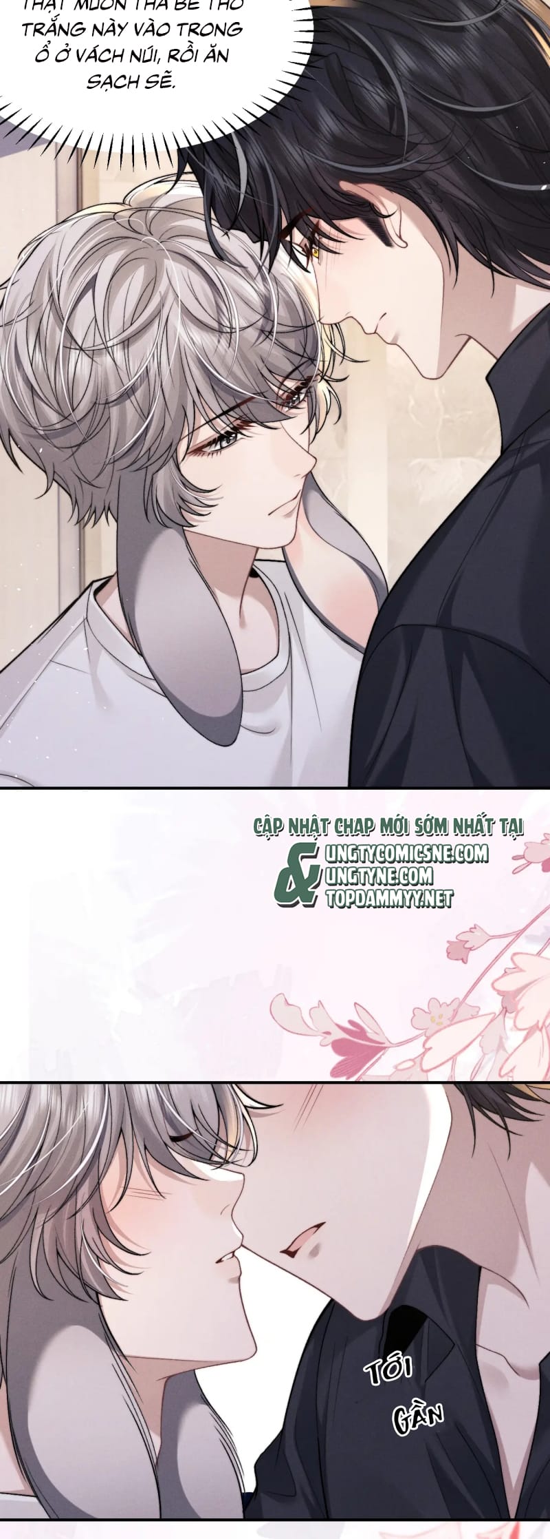 Chấp Sự Thỏ Cụp Tai Chap 159 - Trang 4