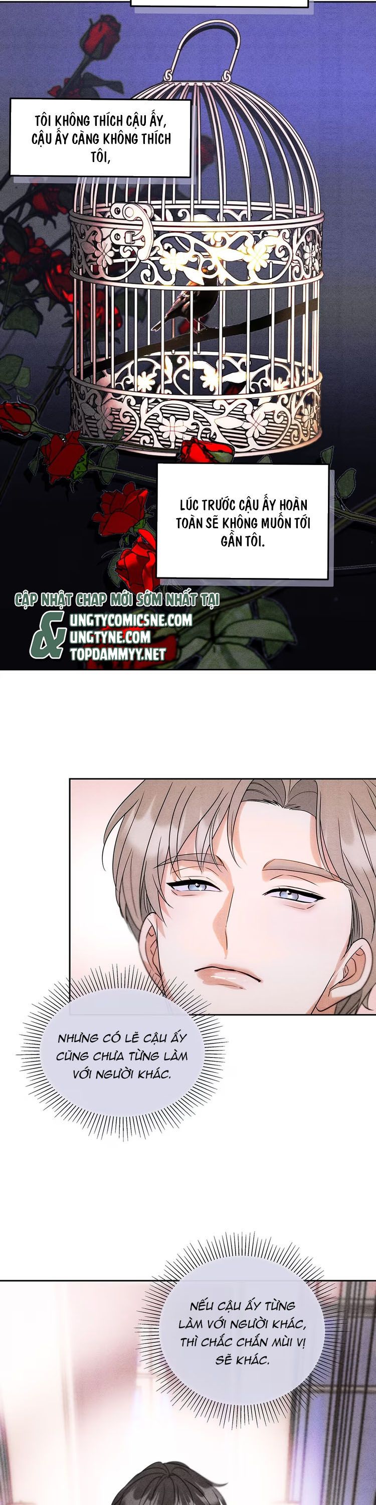 Xuyên Thành Con Ngỗng Vàng Của Đại Lão Alpha Chap 3 - Trang 2