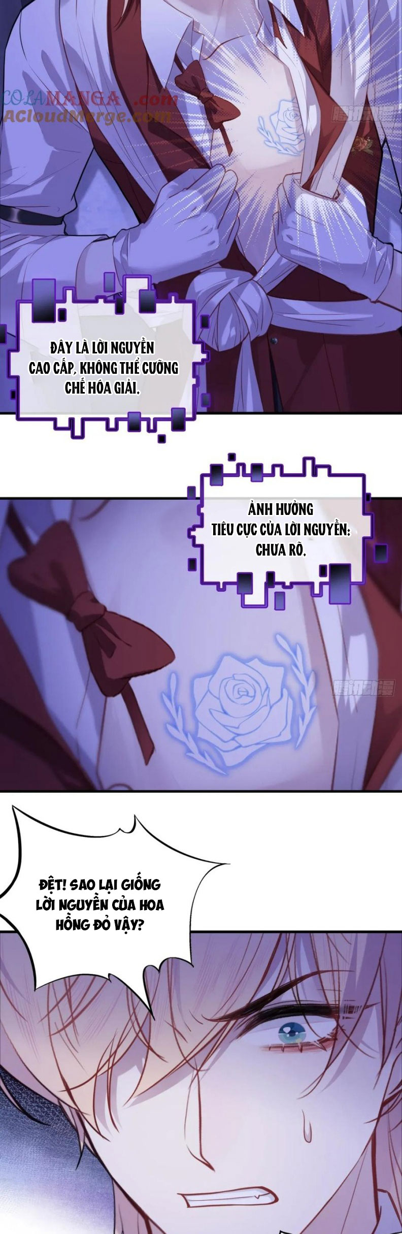 Anh Ấy Chưa Từng Rơi Xuống Chapter 121 - Trang 4