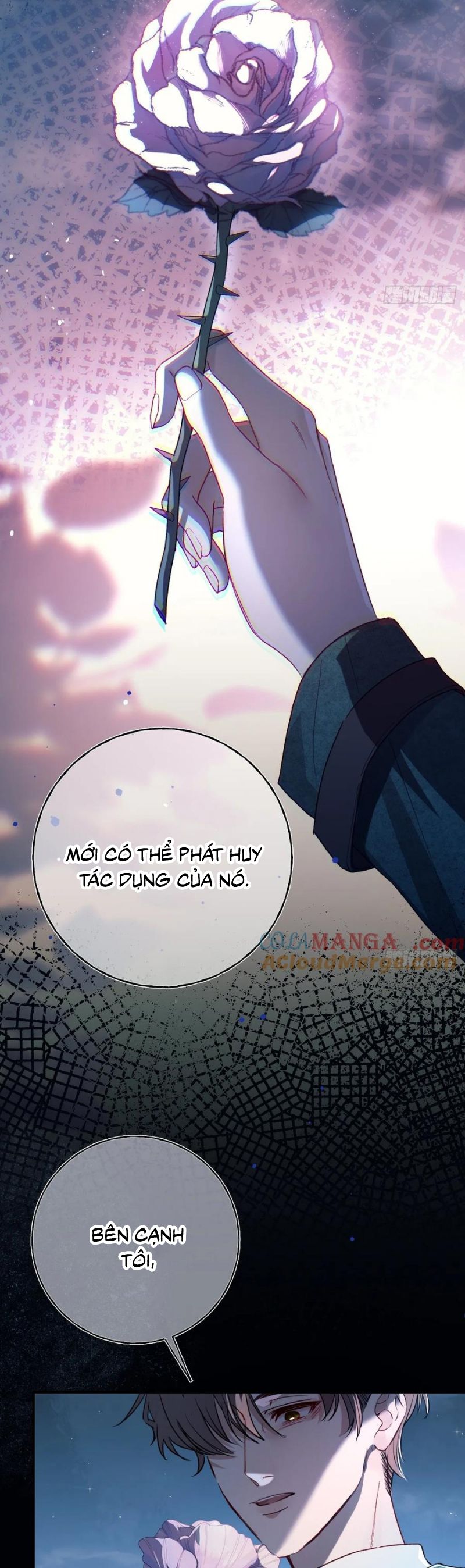 Yêu Đến Hủy Diệt Chapter 19 - Trang 4