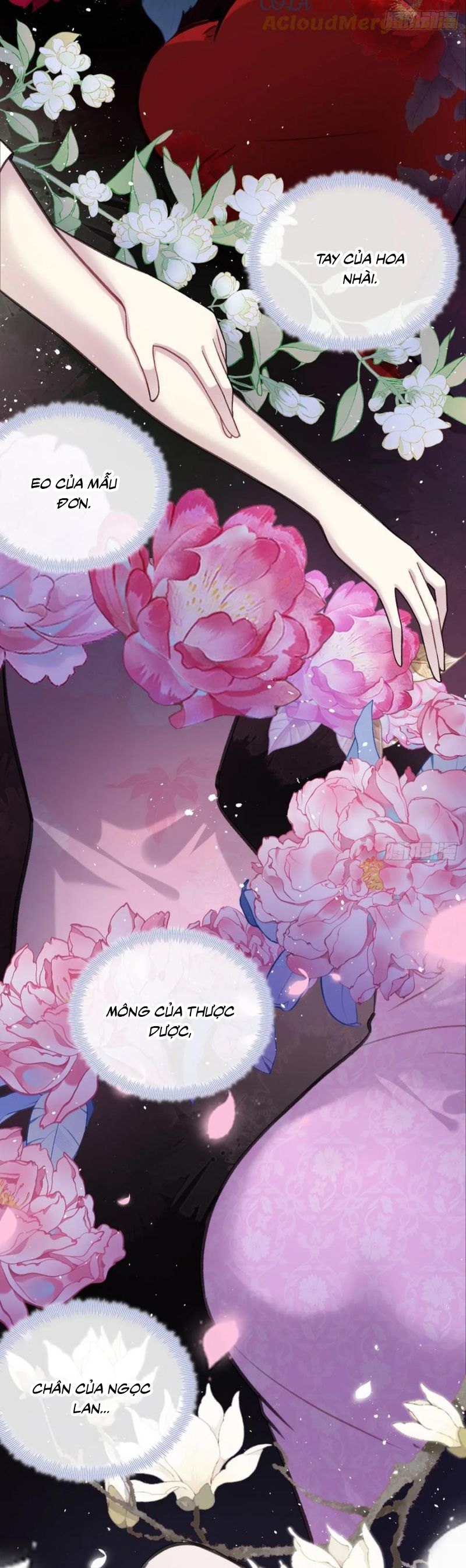 Anh Ấy Chưa Từng Rơi Xuống Chapter 122 - Trang 4