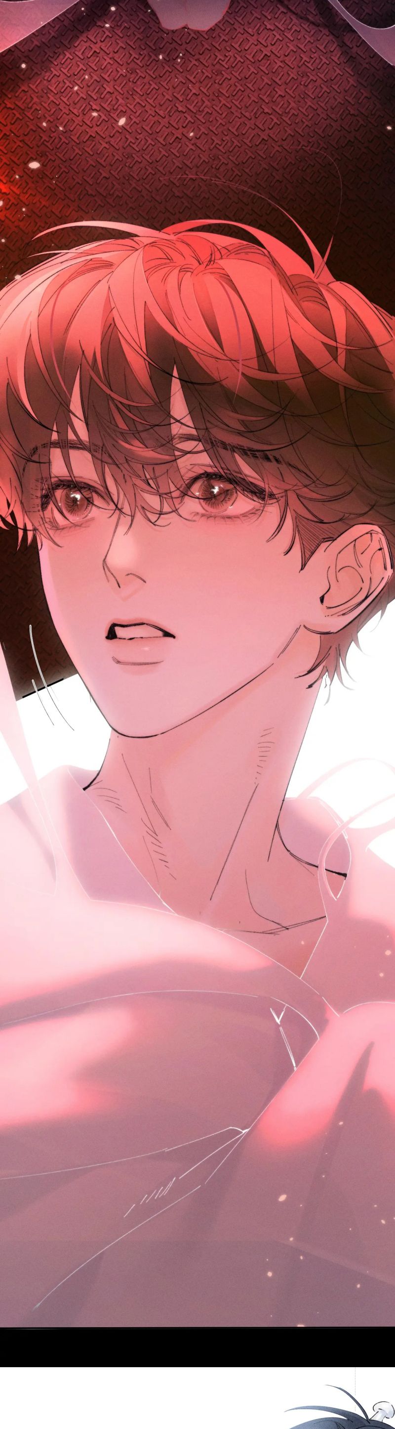 Cây Nấm Nhỏ Chap 66 - Trang 4