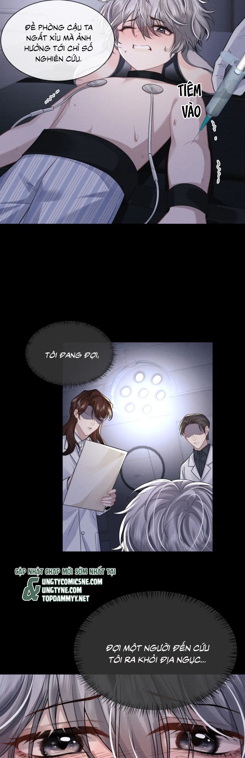 Chấp Sự Thỏ Cụp Tai Chapter 161 - Trang 4