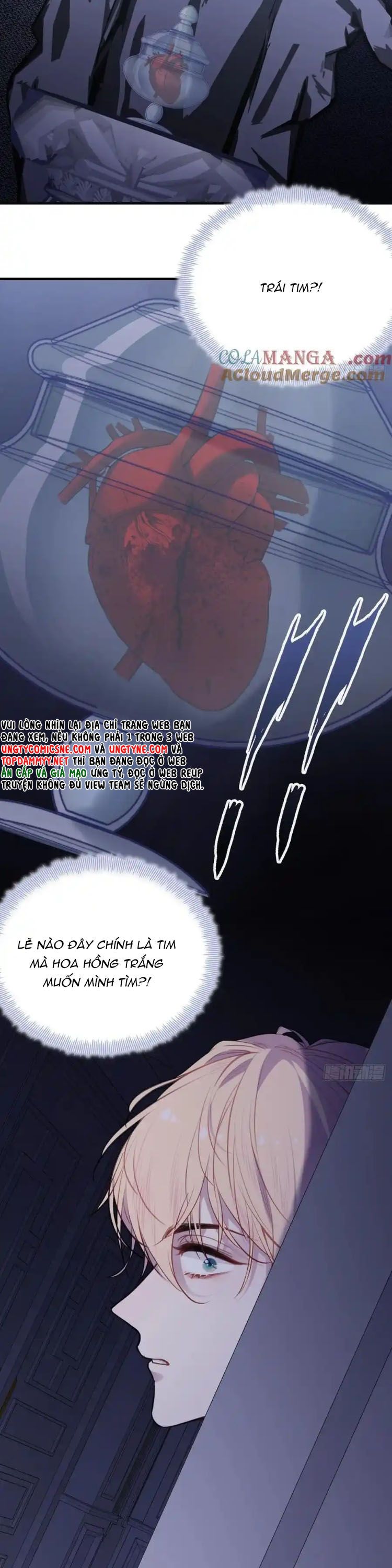 Anh Ấy Chưa Từng Rơi Xuống Chap 123 - Trang 4
