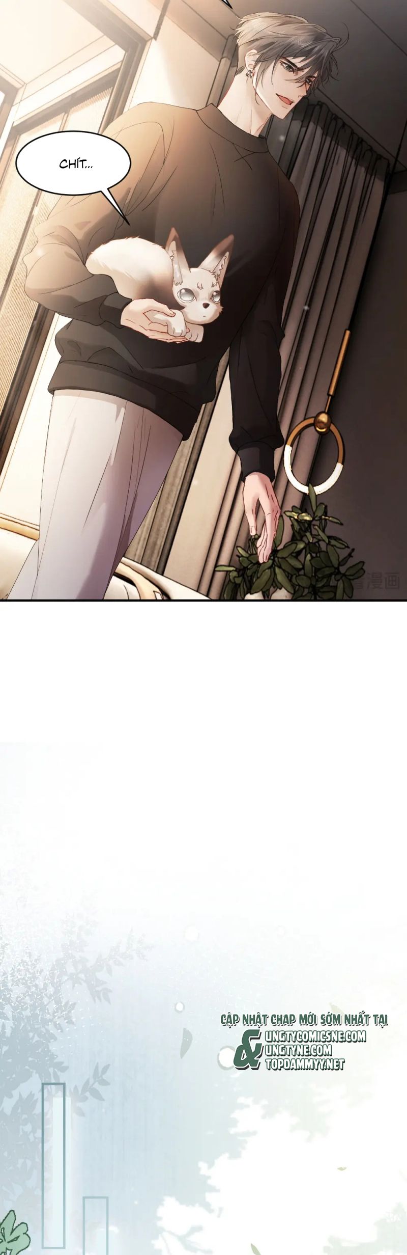 Tiểu Thiếu Gia Dựa Vào Mỹ Mạo Hoành Hành Toàn Hệ Thống Chap 81 - Trang 4