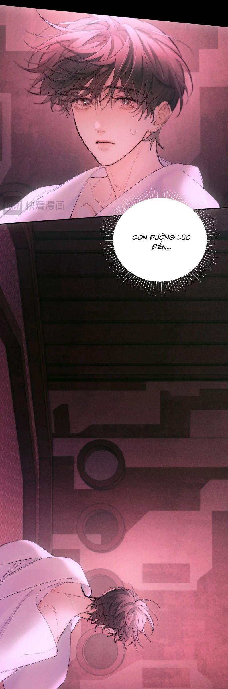 Cây Nấm Nhỏ Chap 67 - Trang 3