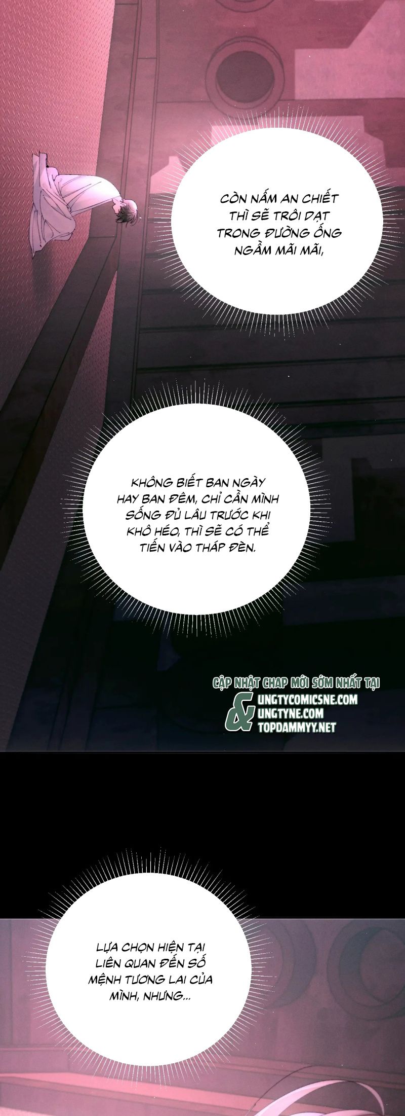 Cây Nấm Nhỏ Chap 67 - Trang 3