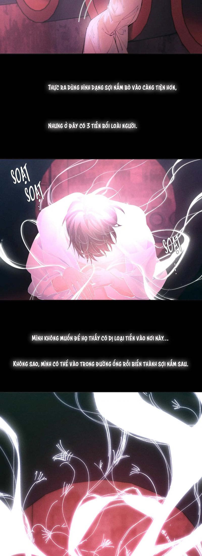 Cây Nấm Nhỏ Chap 67 - Trang 3