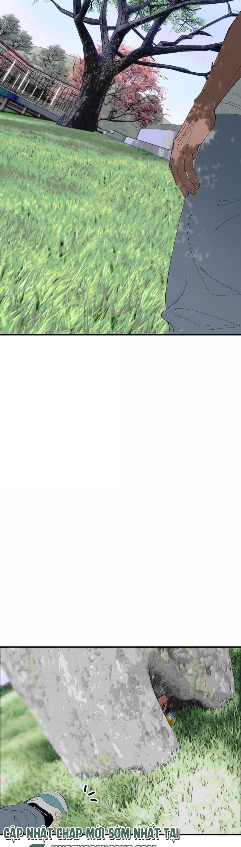 Mỗi Ngày Đều Muốn Làm Bệnh Kiều Vương Tử Xấu hổ Muốn Độn Thổ Chap 24 - Trang 4