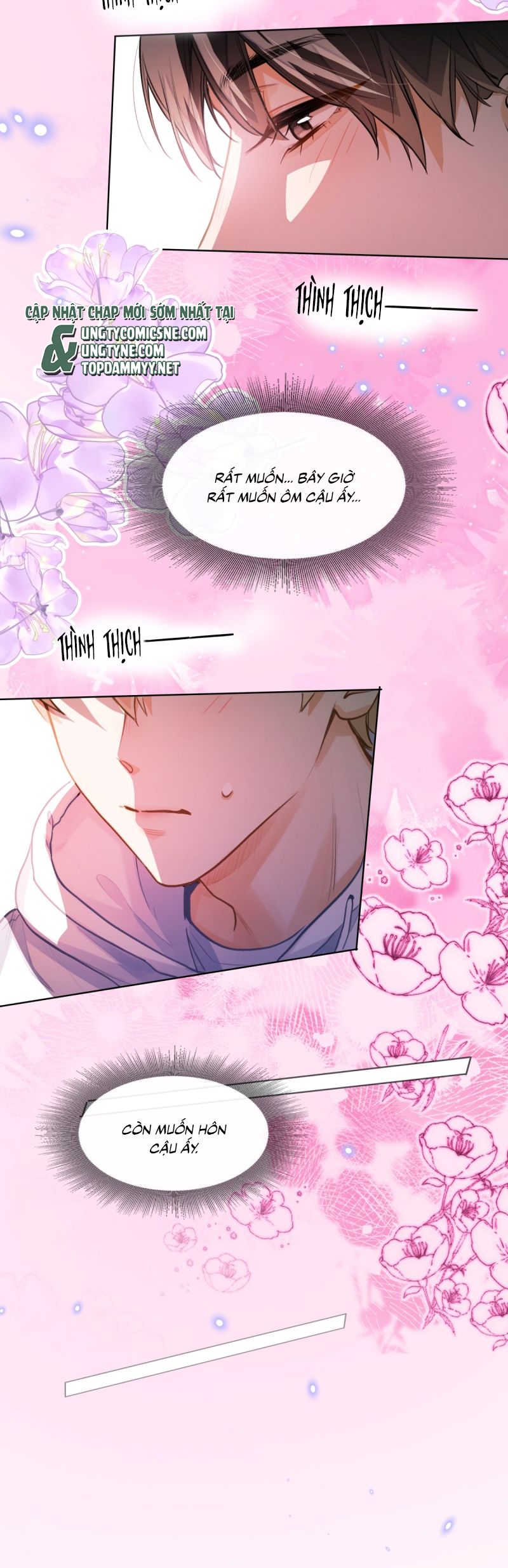 Tôi Thích Tin Tức Tố Của Cậu Chap 76 - Trang 4