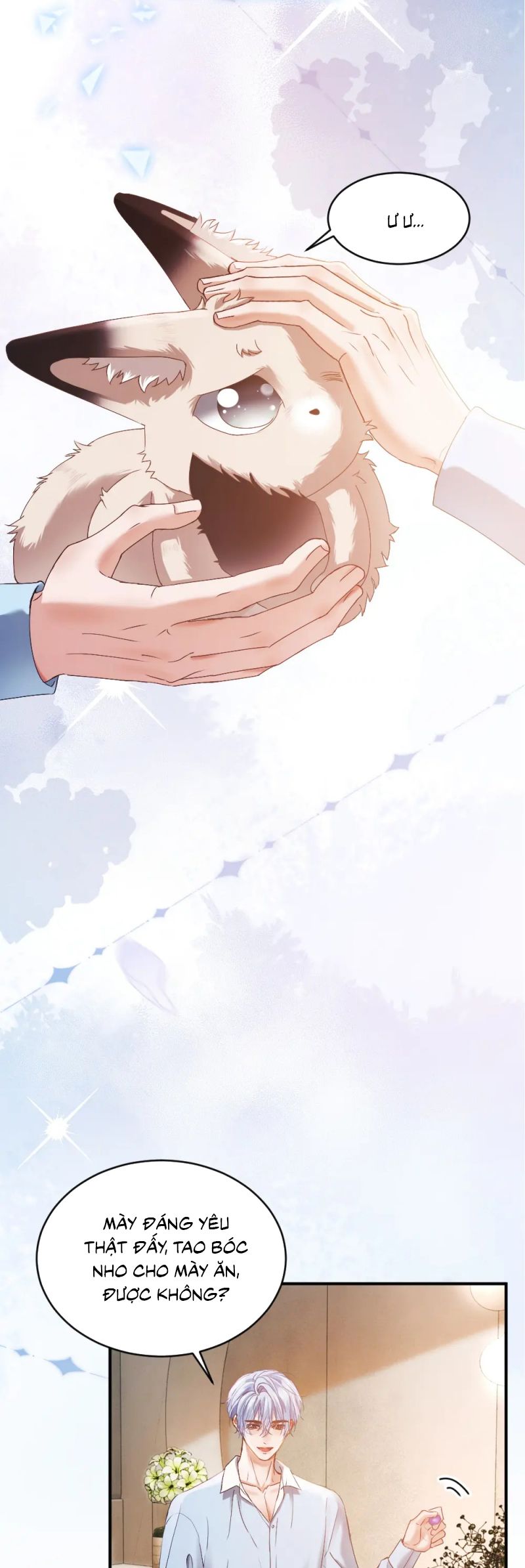 Tiểu Thiếu Gia Dựa Vào Mỹ Mạo Hoành Hành Toàn Hệ Thống Chap 82 - Trang 4