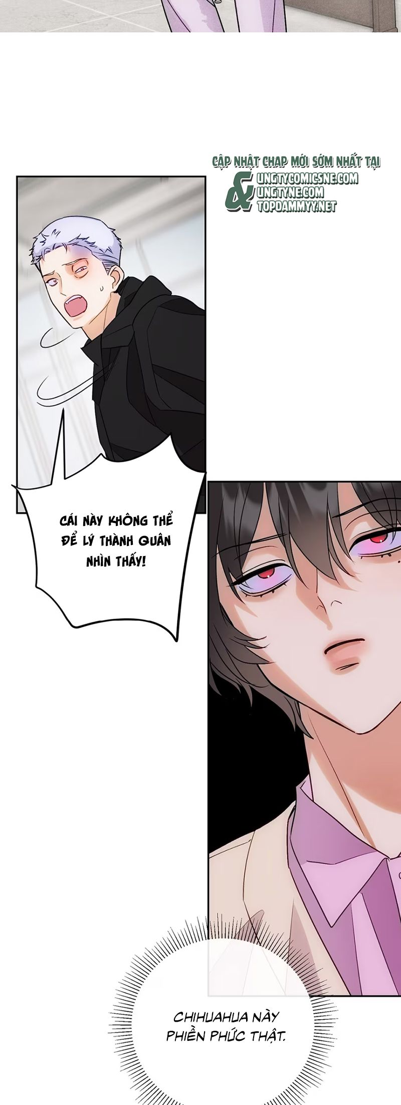 Xuyên Thành Con Ngỗng Vàng Của Đại Lão Alpha Chap 9 - Trang 2