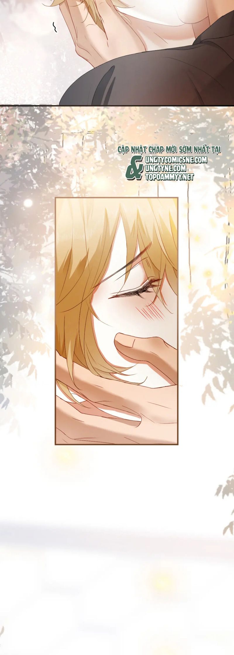 Tiểu Thiếu Gia Dựa Vào Mỹ Mạo Hoành Hành Toàn Hệ Thống Chap 83 - Trang 4