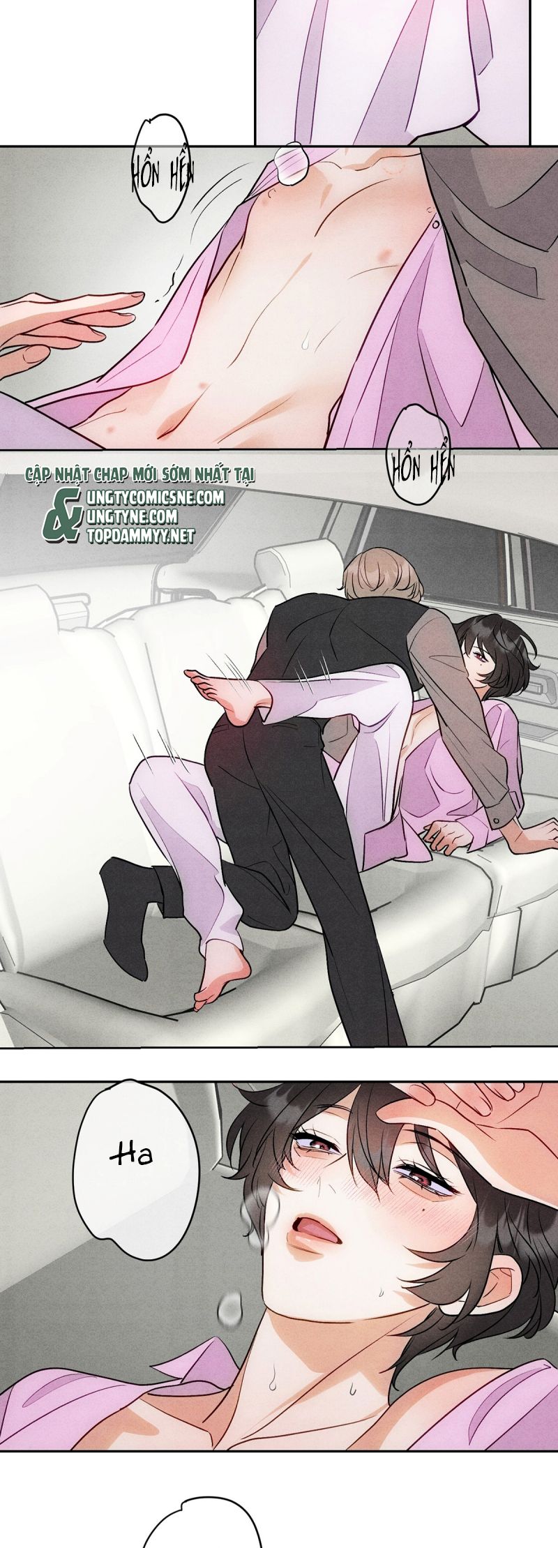 Xuyên Thành Con Ngỗng Vàng Của Đại Lão Alpha Chap 11 - Trang 2