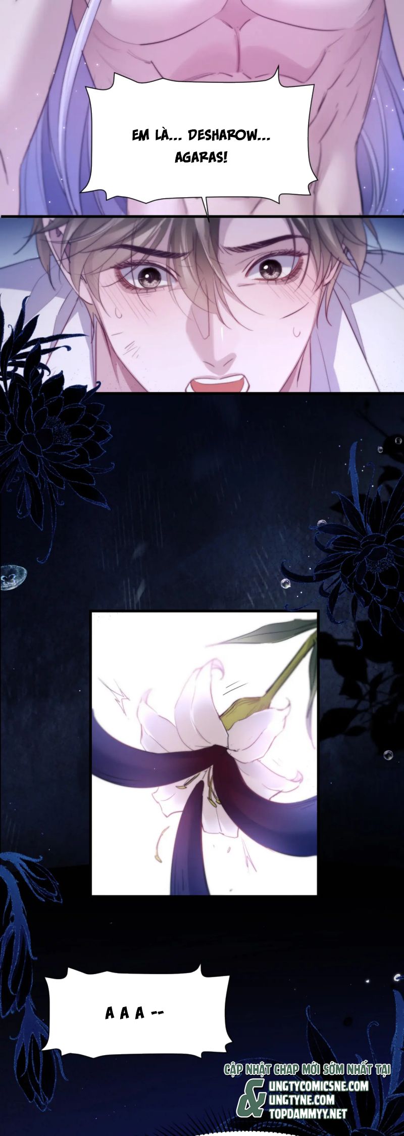 Desharow Nhân Ngư Chap 101 - Next 