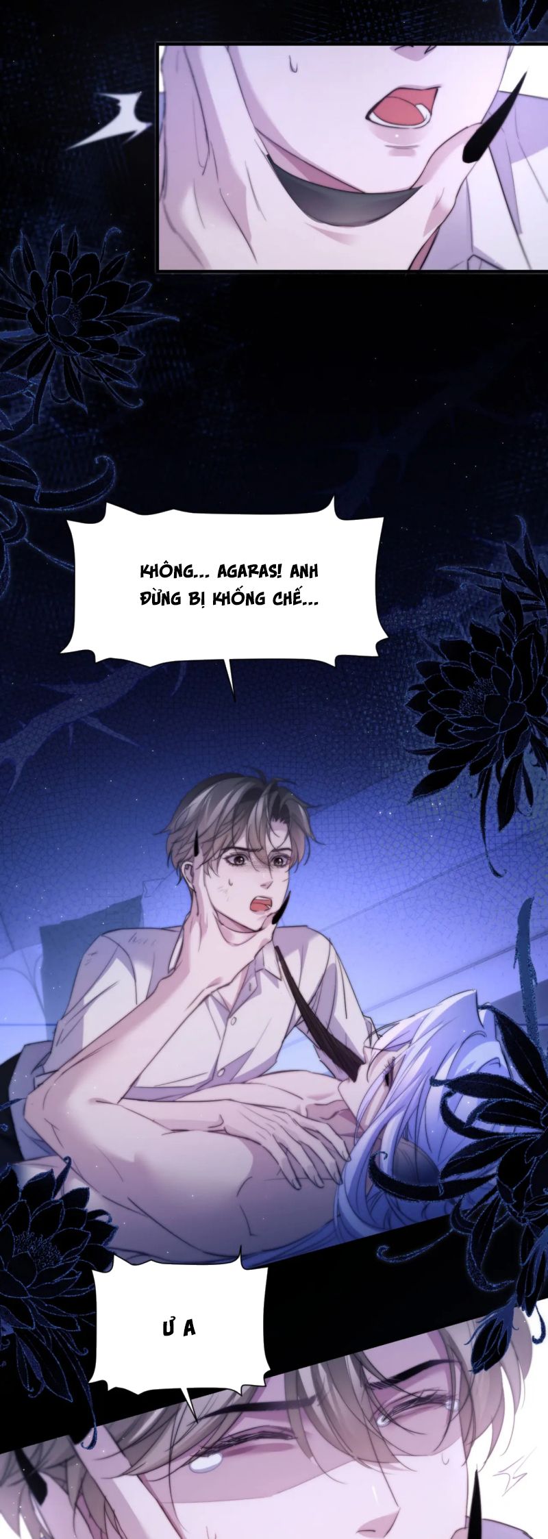 Desharow Nhân Ngư Chap 101 - Next 