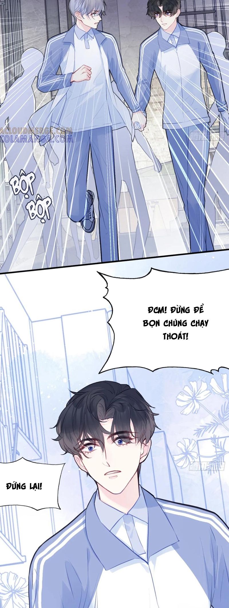 Anh Ấy Chưa Từng Rơi Xuống Chap 129 - Next 
