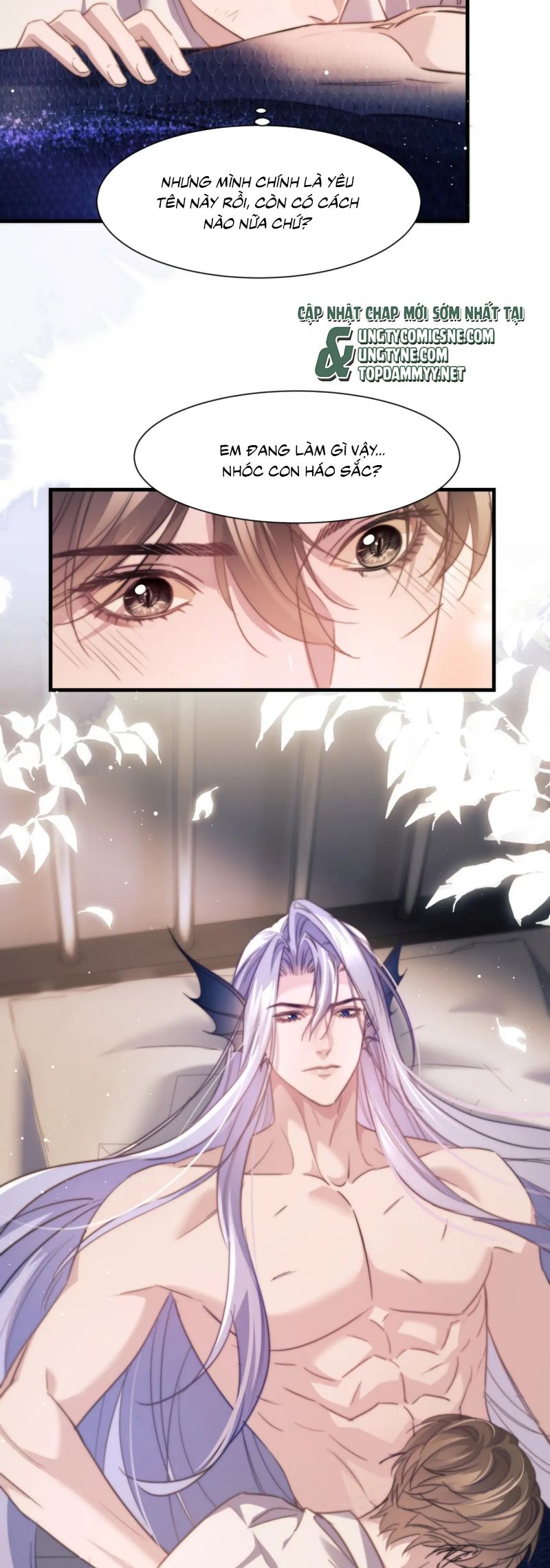 Desharow Nhân Ngư Chap 102 - Next 