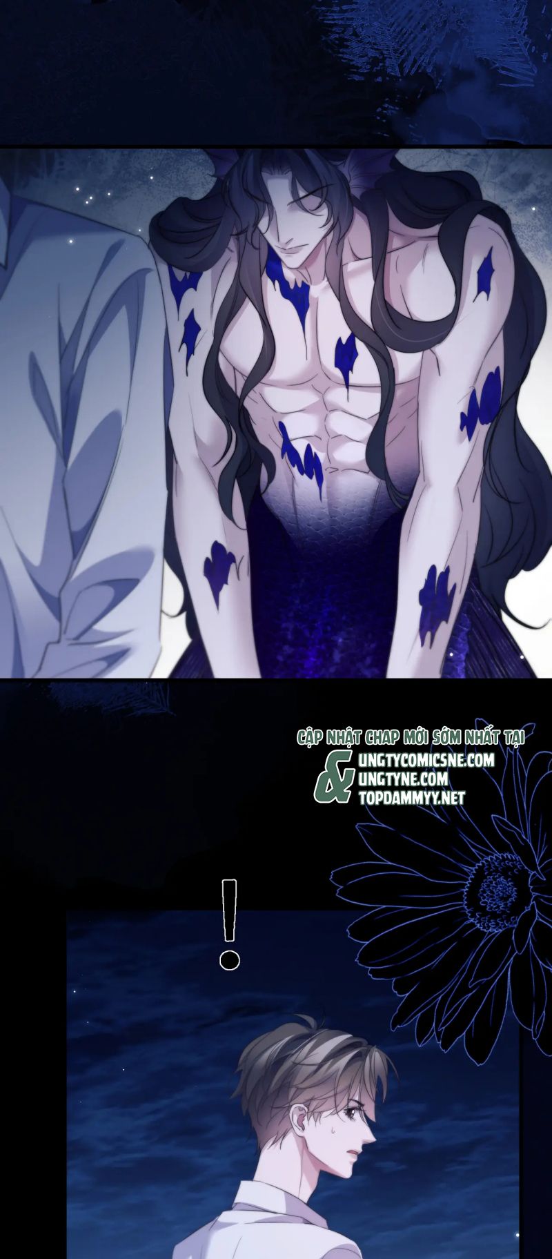 Desharow Nhân Ngư Chap 104 - Trang 3