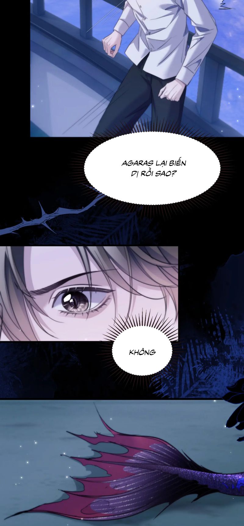 Desharow Nhân Ngư Chap 104 - Trang 3