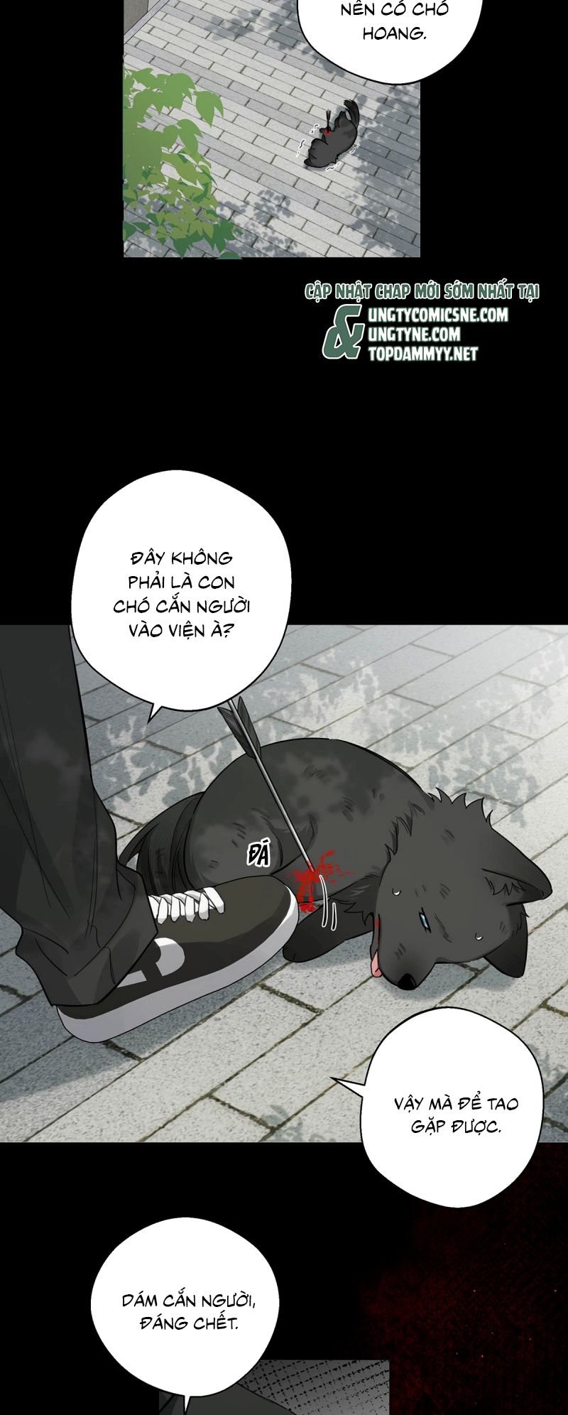 Lang Quân Muốn Chịu Trách Nhiệm Với Tôi Chap 15 - Trang 2