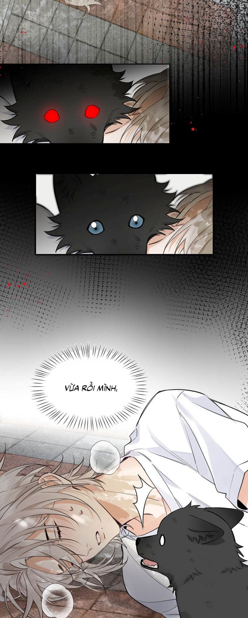 Lang Quân Muốn Chịu Trách Nhiệm Với Tôi Chap 15 - Trang 2
