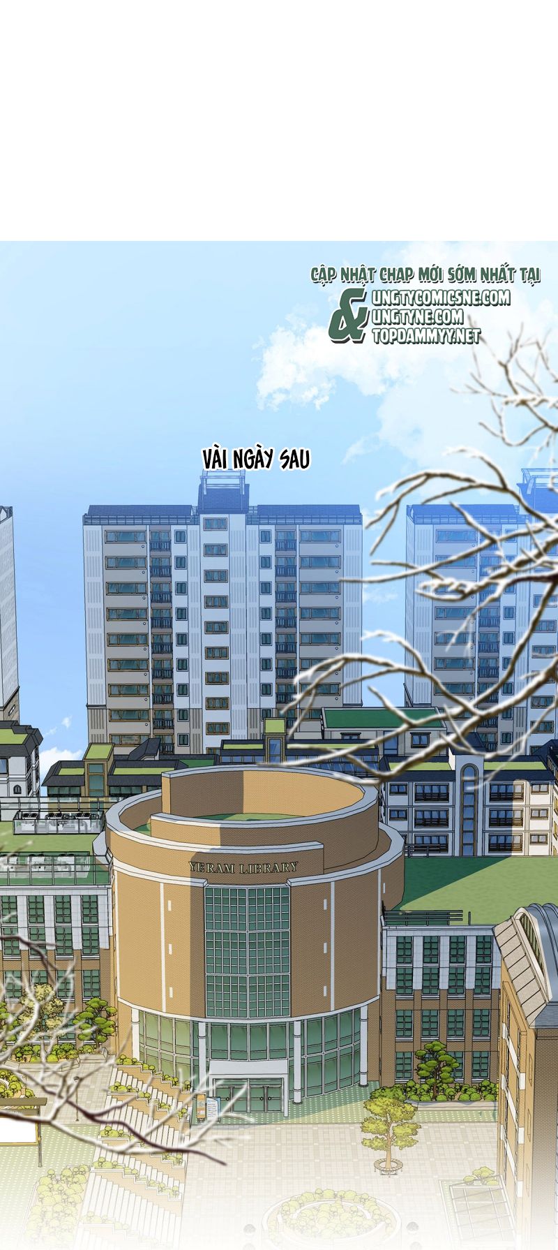Tôi Thích Tin Tức Tố Của Cậu Chap 81 - Trang 3