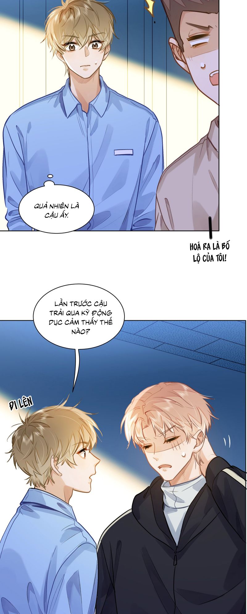Tôi Thích Tin Tức Tố Của Cậu Chap 81 - Trang 3