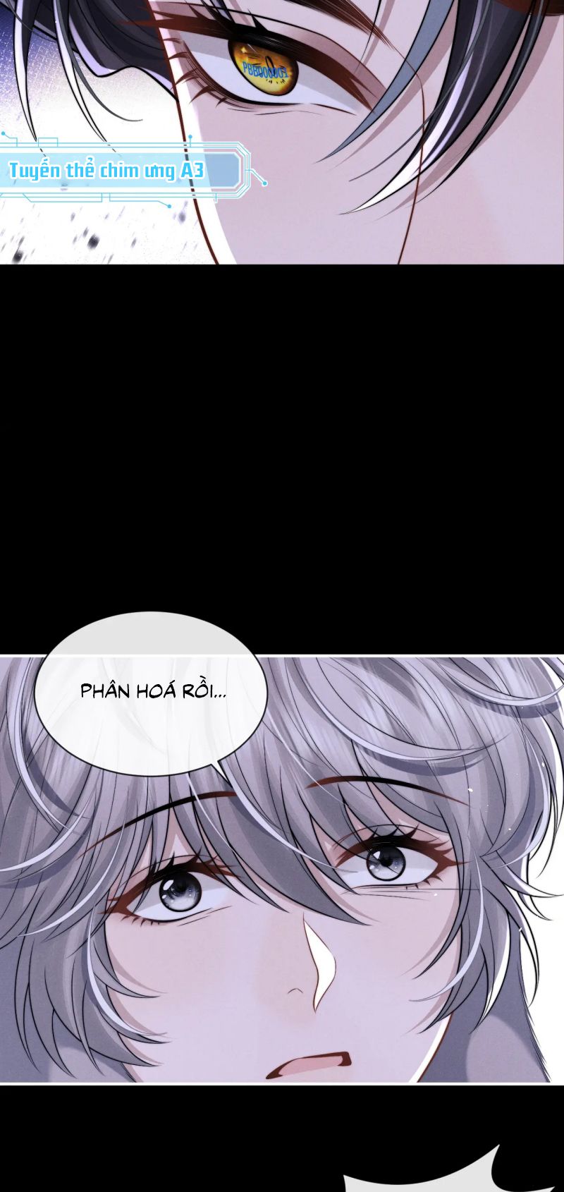 Chấp Sự Thỏ Cụp Tai Chap 170 - Trang 4