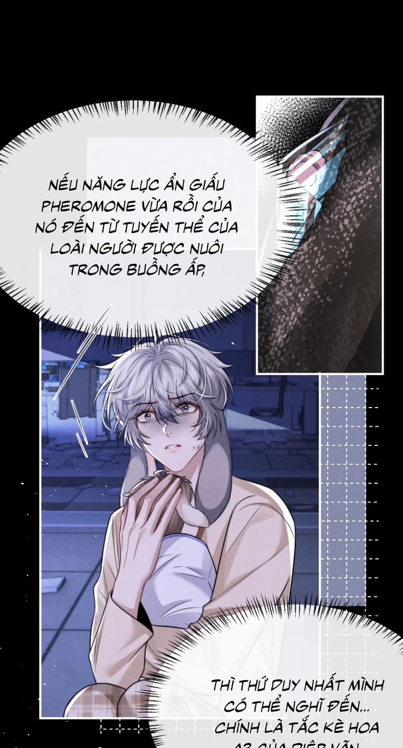 Chấp Sự Thỏ Cụp Tai Chap 170 - Trang 4