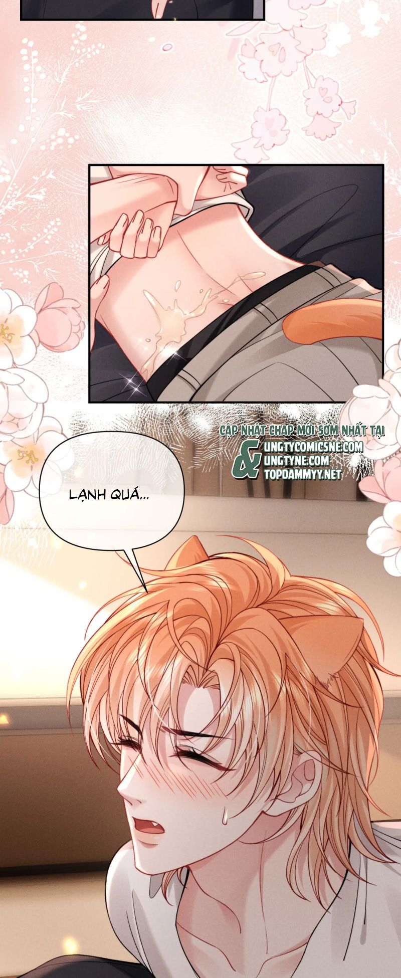 Tật Xấu Nuông Chiều Chap 49 - Next 