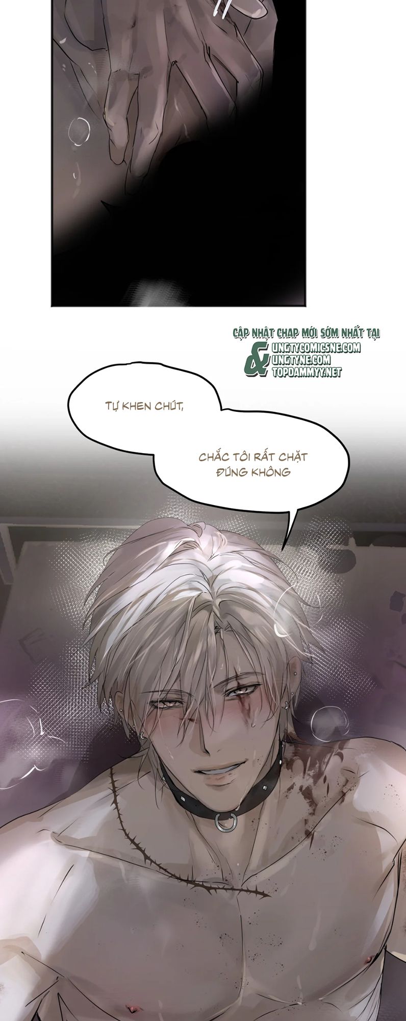 Bị Chó Điên Phát Hiện Tôi Là Đồng Loại Chap 4 - Trang 2