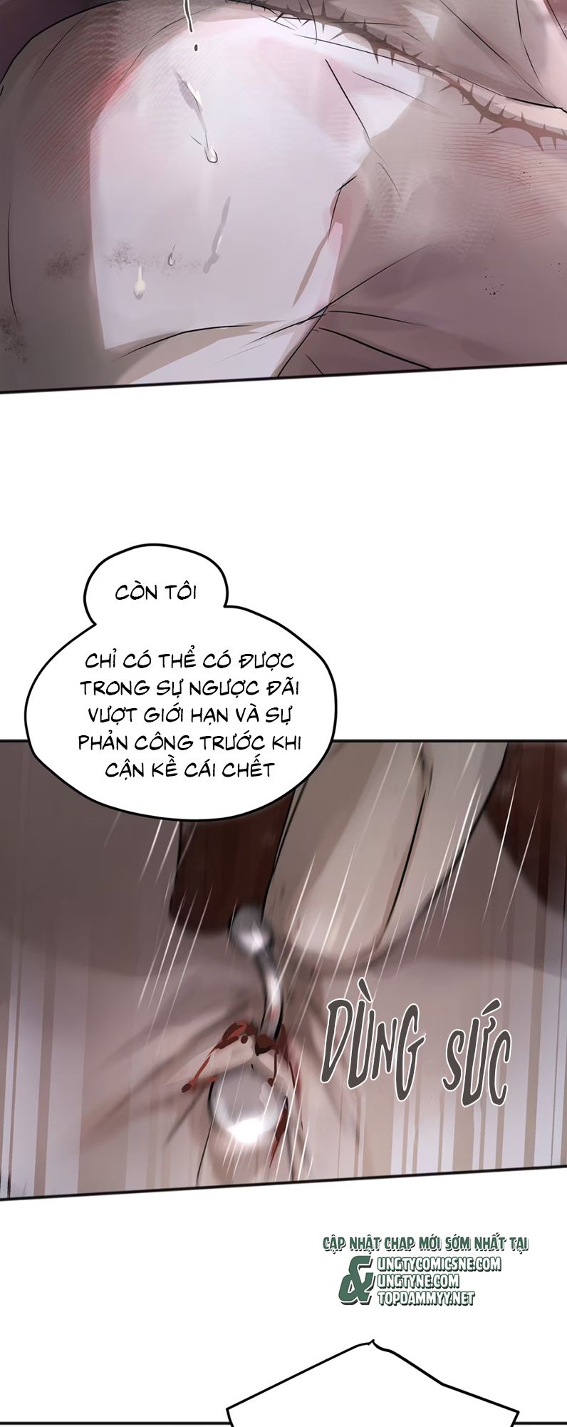 Bị Chó Điên Phát Hiện Tôi Là Đồng Loại Chap 4 - Trang 2